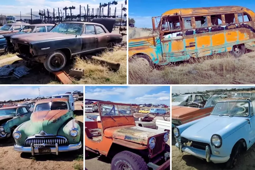 Check Out One of Colorado’s Best Scrapyards for Cool Old Cars