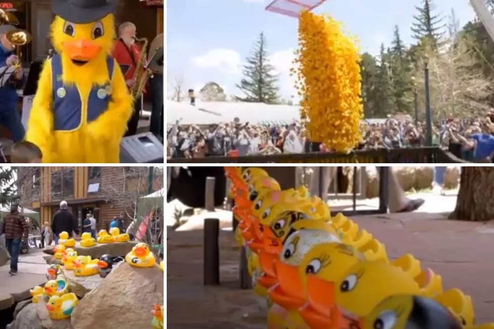 Reasons to Attend Estes Park Colorado’s Duck Race this Year