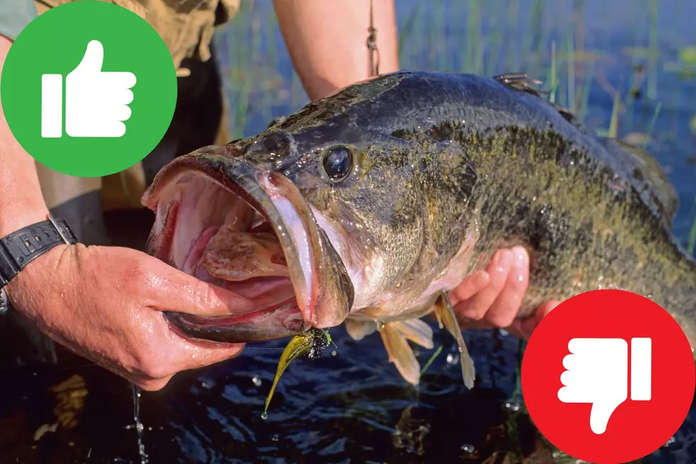 Colorado Anglers: Don’t Break these Rules at Trophy Bass Pond