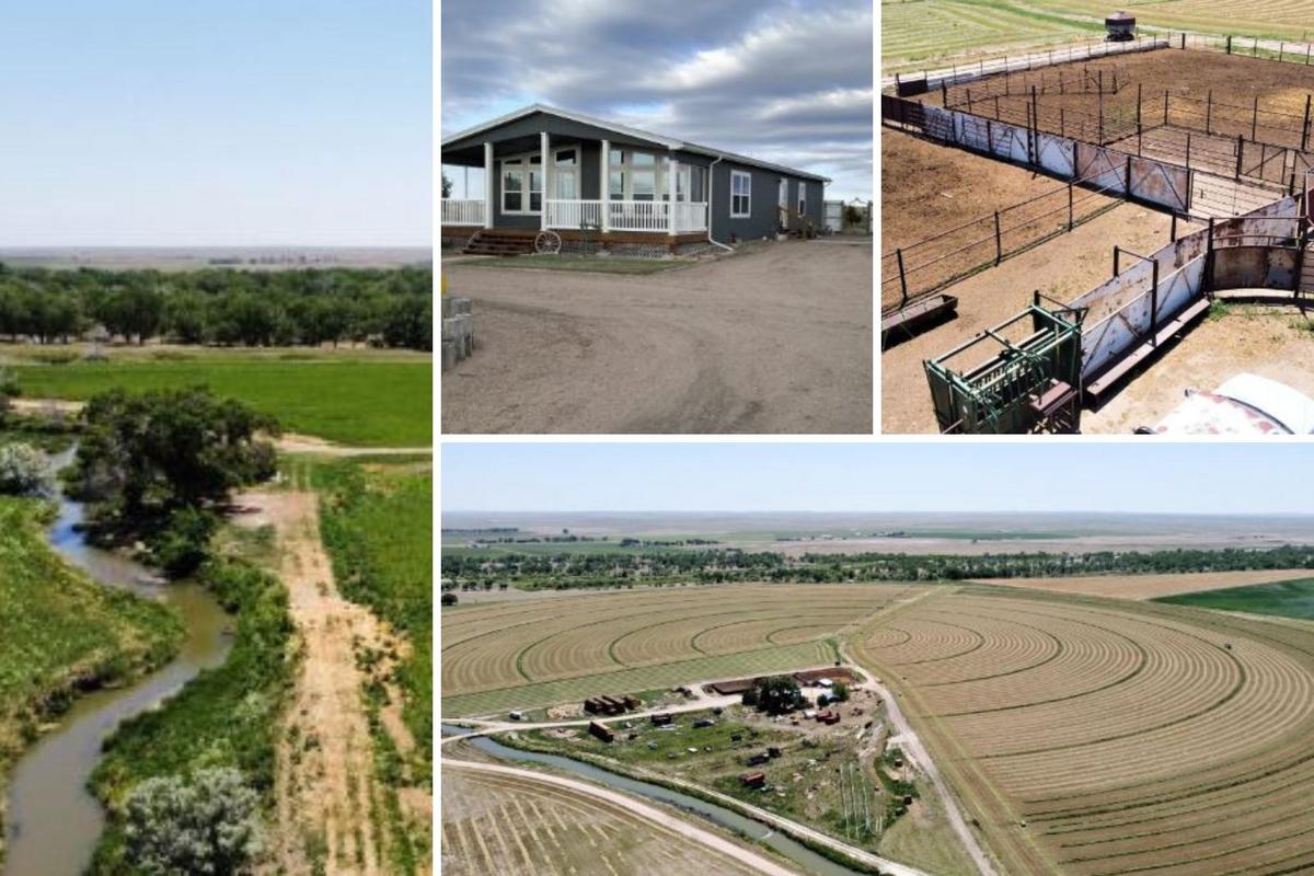 Tour a huge farm with a three-bedroom house for sale in rural Colorado