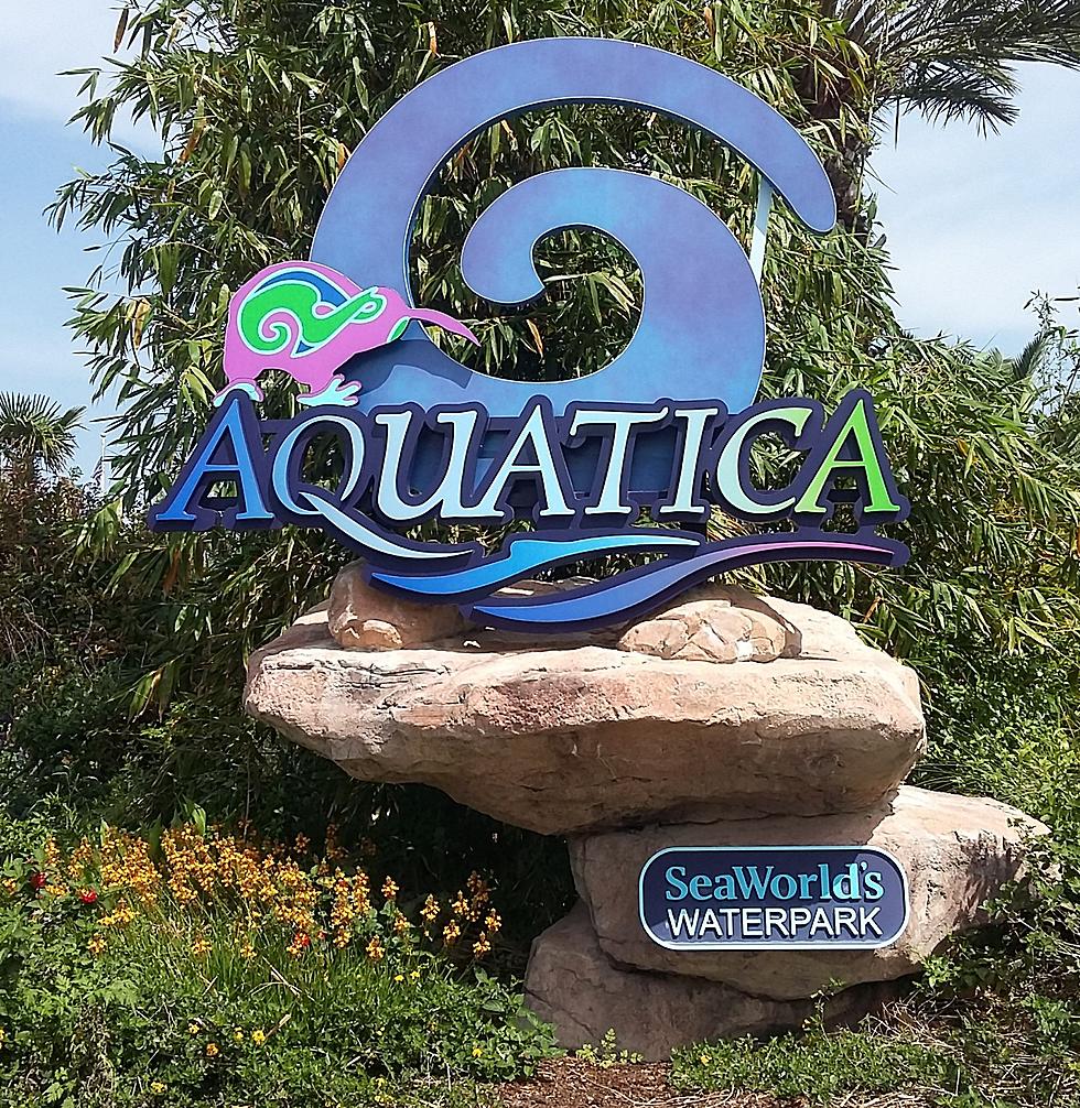 Melz Texas Bucket List: Sea World Aquatica