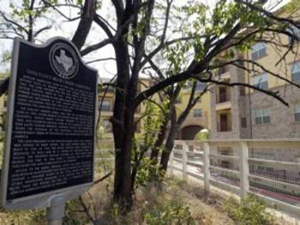 Volunteers Needed To Help Preserve Texas Slave Cemetery In Irving