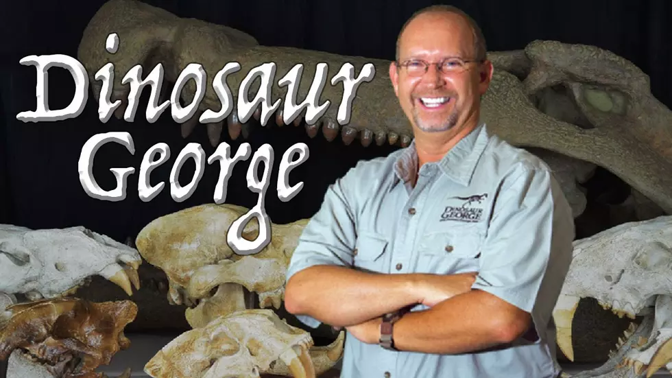 Dinosaur George Bringing Prehistoric Fun To Killeen
