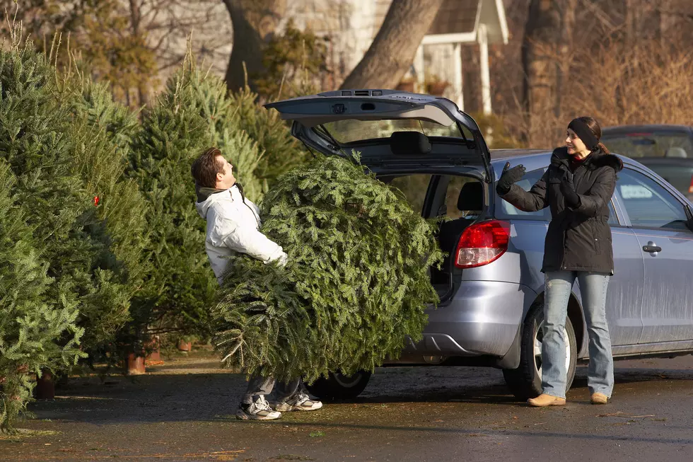 Killeen’s Free Christmas Tree Recycling On January 4th