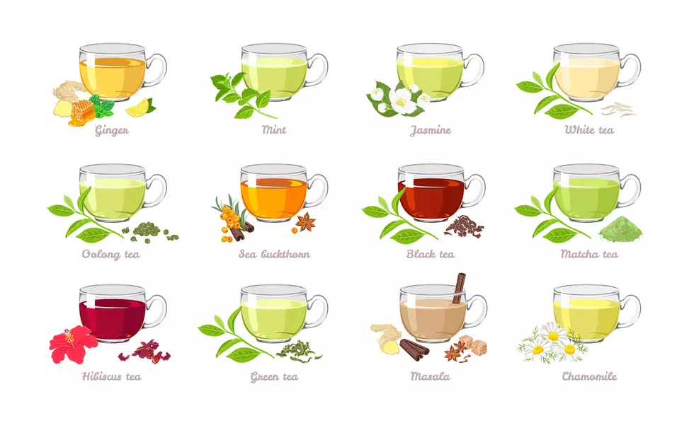 Set of tea of different types. Vector illustration of collection of popular drinks in cartoon flat style. Glass cups isolated on white background.