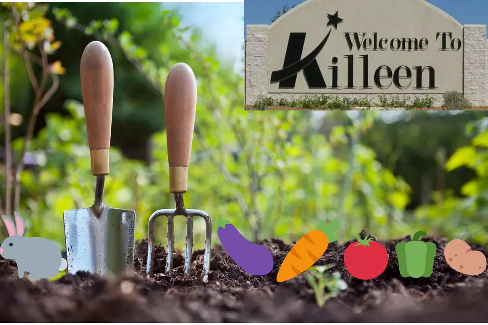 Wait, What? Why Isn&#8217;t The Killeen, Texas Service Garden Talked About More?