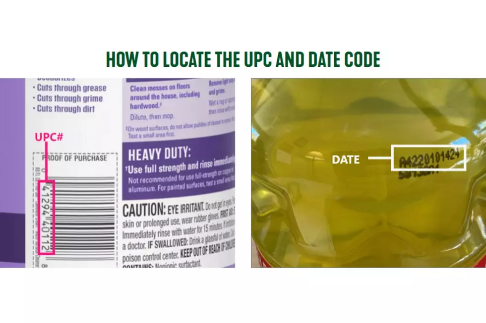 Pine-Sol/Canva