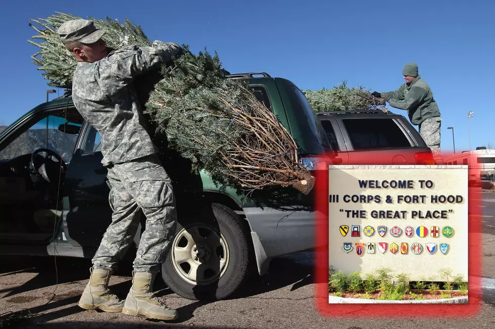 Trees For Troops Is Giving Free Christmas Trees To Fort Hood, TX Soldiers This Weekend