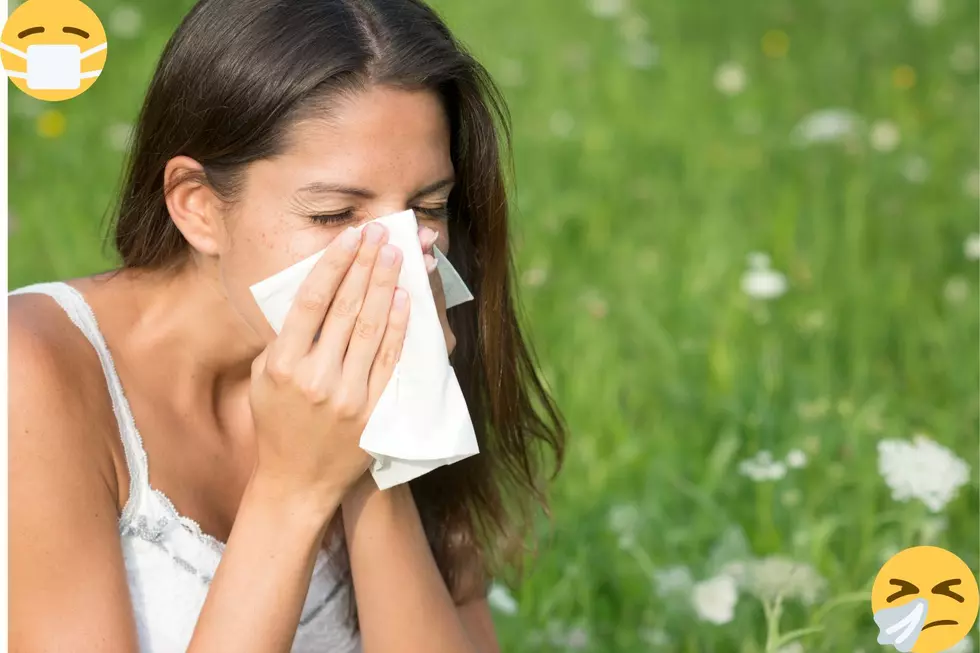 Gesundheit Texas! Here Is An At Home Remedy To Get Of Allergies