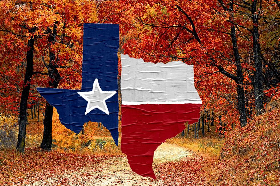 Open Letter To The Fall Season Texans Say &#8220;We Are Ready&#8221;