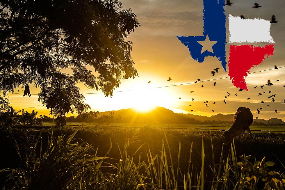 Gorgeous! Here’s The Most Beautiful City In Texas May Shock You