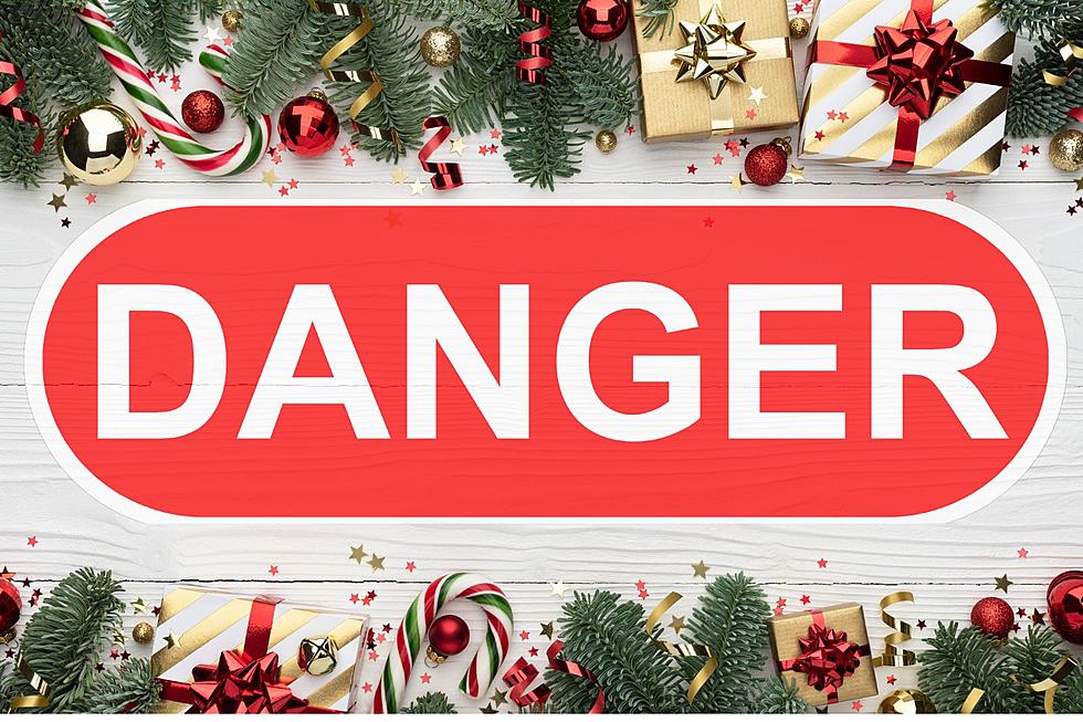 BEWARE! A Deadly Christmas Plant To Avoid Here In Texas