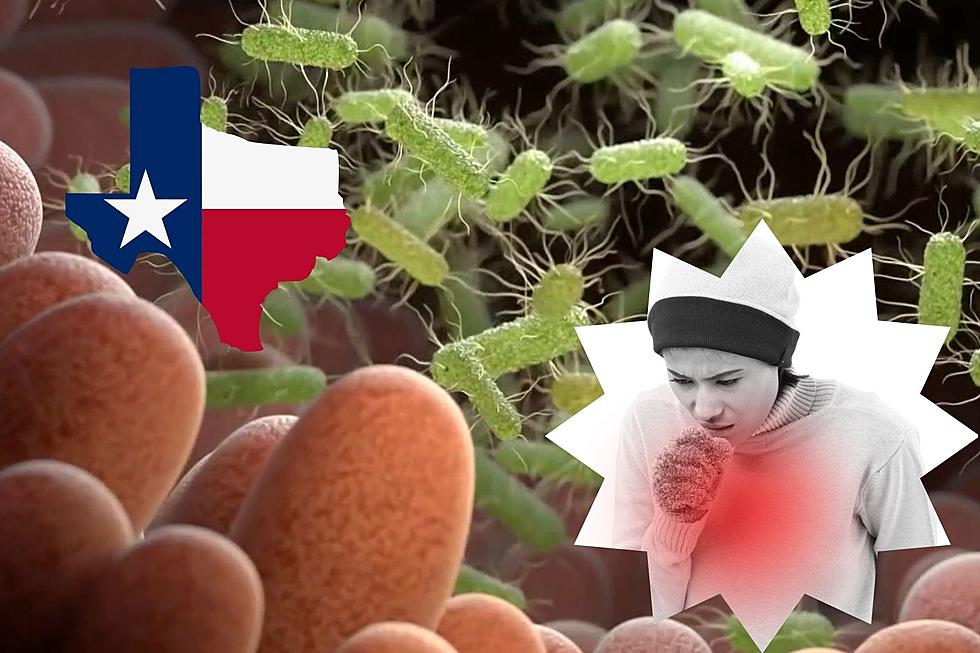Warning: Texas Cities Nearing New Record Flu &#038; STD Numbers