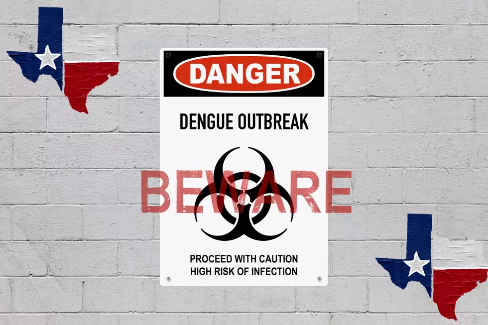 BEWARE: DEADLY Dengue Outbreak Has Spread In Texas