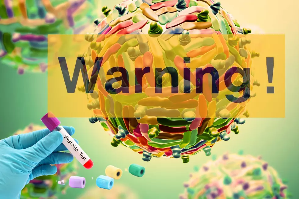 BEWARE: DEADLY West Nile Virus Has Invaded Texas 4 Cases Were Discovered