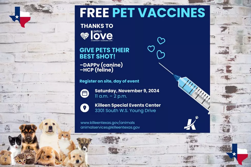 FREE: Killeen Animal Services Partners Offer Free Vaccines