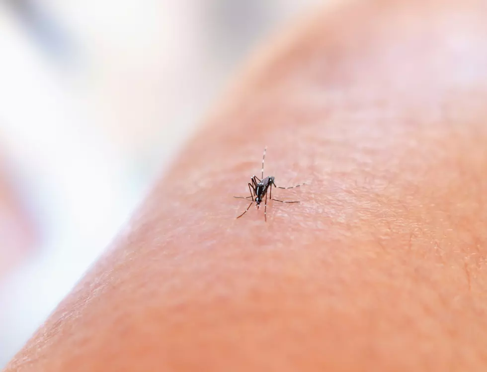 West Nile Virus Activity Reported by Temple Health Officials