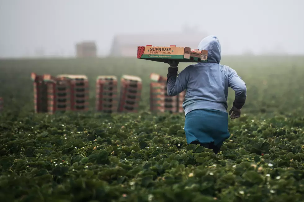 The Best Places to Buy Fresh, Farm-Raised Food Direct in Bell County