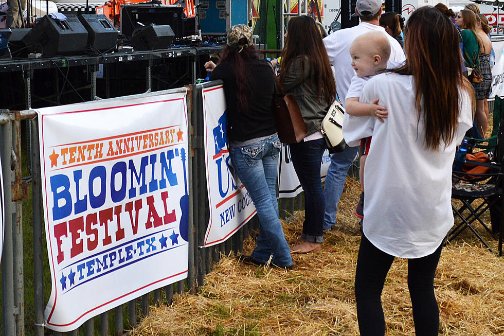 Bloomin' Festival Photos