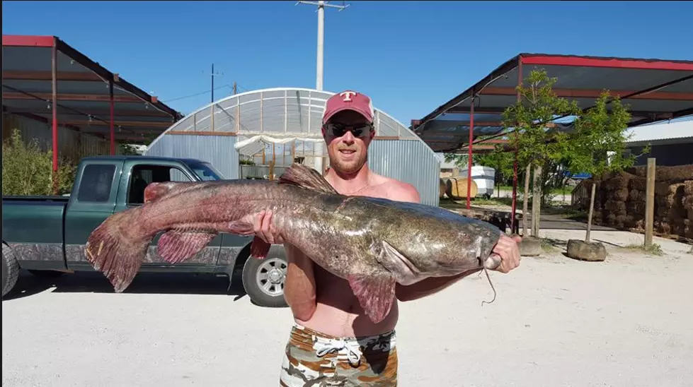 Texas Man Catches Record-Breaking Catfish the Size of His Son