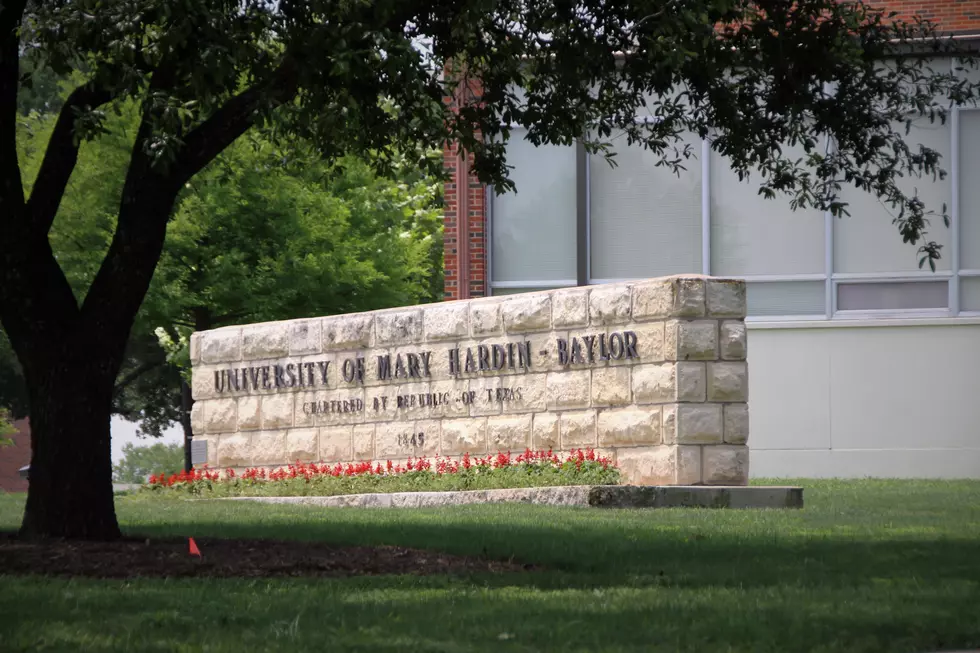 Elizabeth Varville