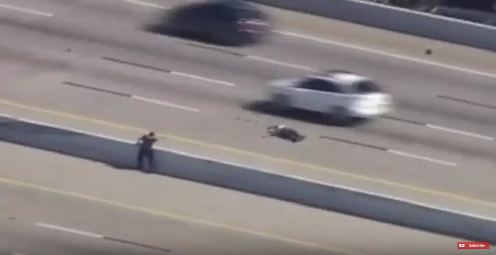 Police Chase in Garland Ends With Man Tased On Busy Highway