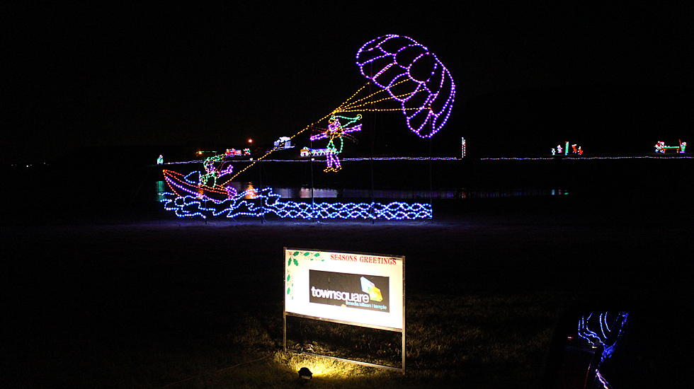 Beautiful Nature in Lights Tradition Returns to BLORA for Its 25th Year