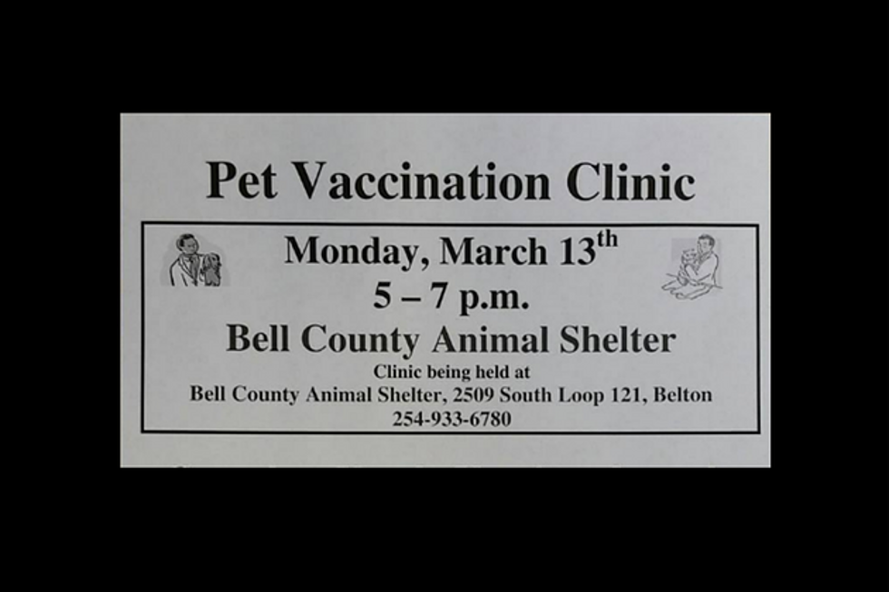 Bell County Animal Shelter Offering Twenty Dollar Yearly Pet Vaccines