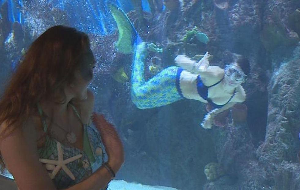 Have You Seen the Mermaids at Cameron Park Zoo?