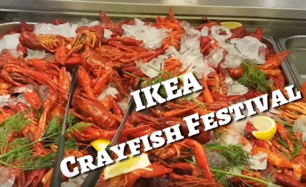 Good news for crayfish fans! 