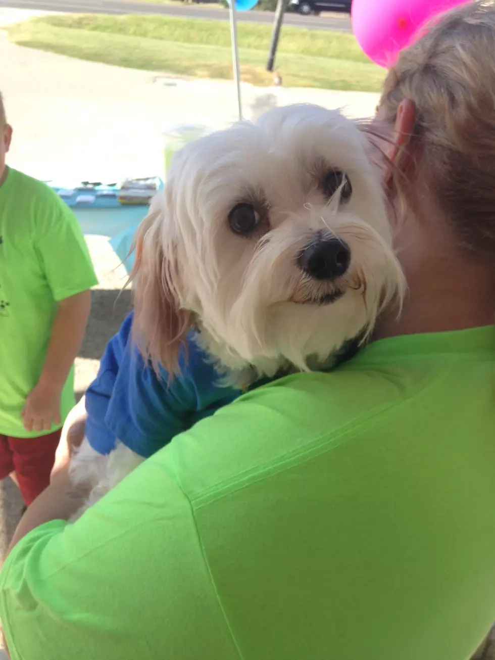 Wuzzy the Dog is the Inspiration Behind a Local Copperas Cove Business