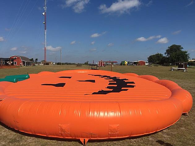 Giant Inflatable Pumpkin Arrives at Robinson Family Farm