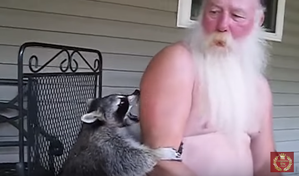 Raccoon Caught Stealing Food From Texas Nursing Home