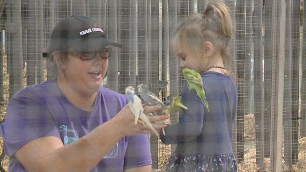 HOT Fair Petting Zoo Welcomes New Additions