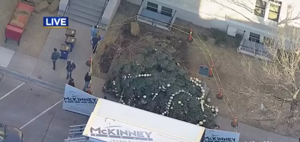 High Winds Topple Giant Christmas Tree in McKinney