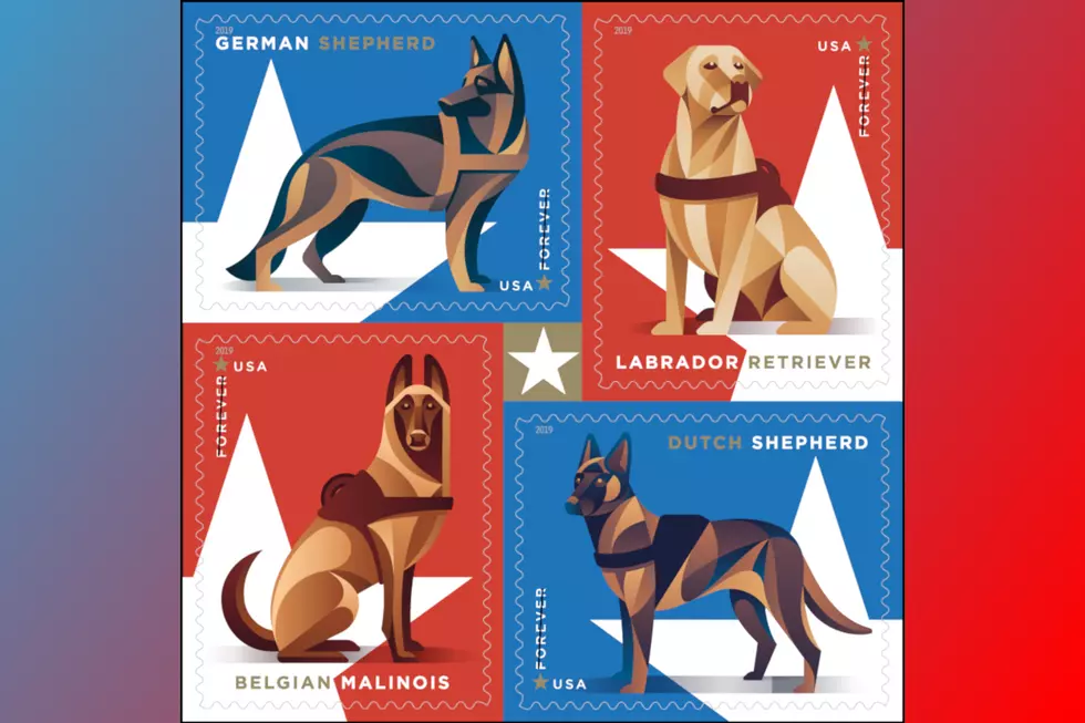 New USPS Stamps Honor Military Working Dogs