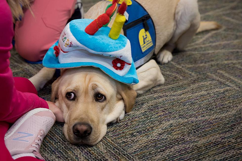 Meet Lorenzo: Baylor Scott &#038; White McLane Children’s Hospital Best Friend