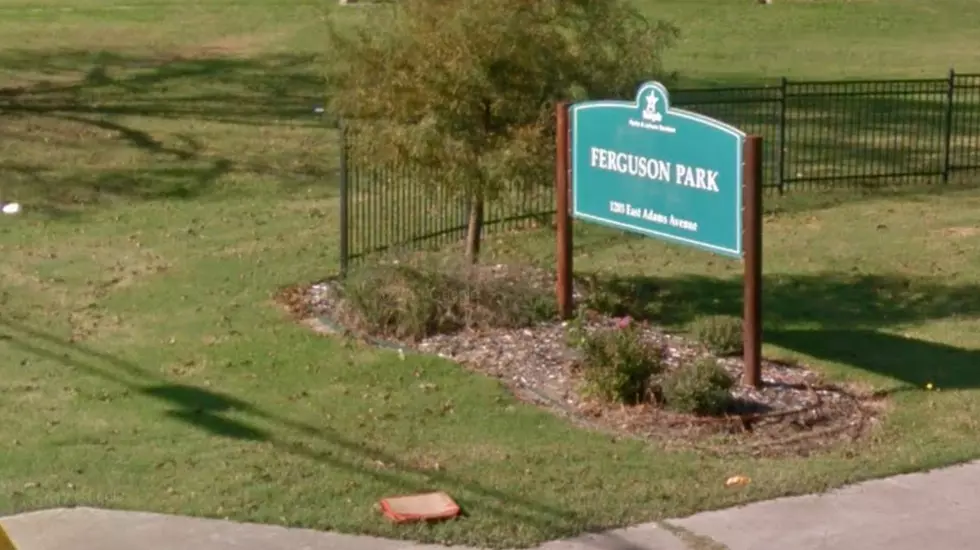 Help Clean Up Ferguson Park in Temple