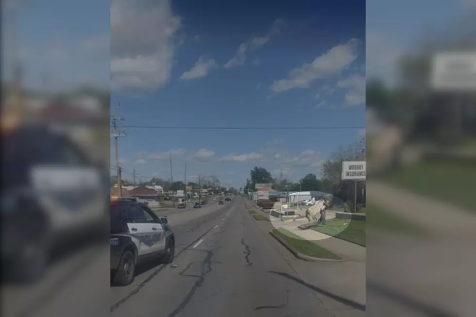 Steer Runs Loose on Texas Highway, Tackles Pedestrian