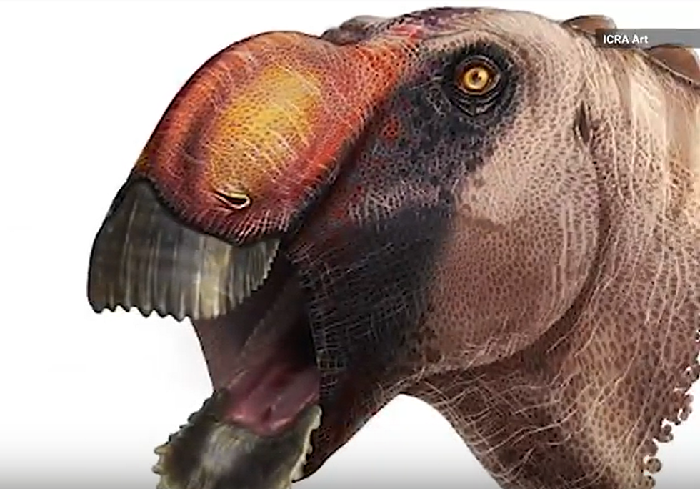 Check Out The Latest Identified  Texas Dinosaur