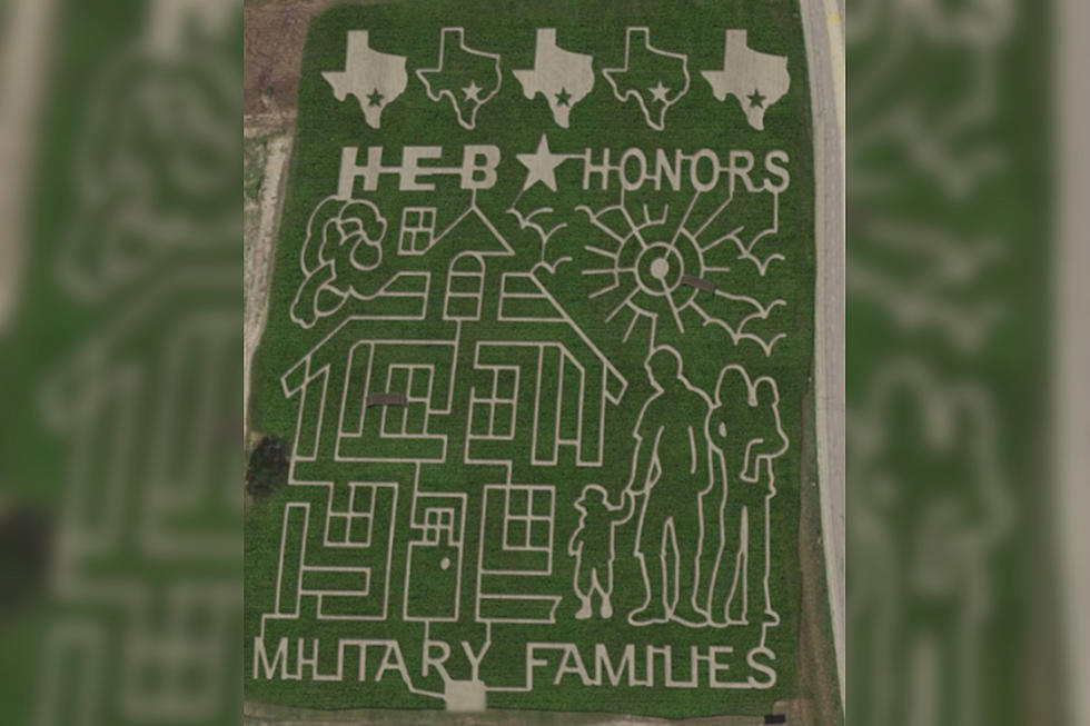 South Texas Corn Maze Honors Military Families