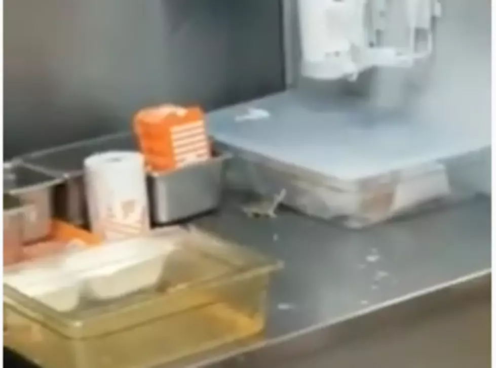 Video: Mouse Jumps Into Whataburger Deep Fryer