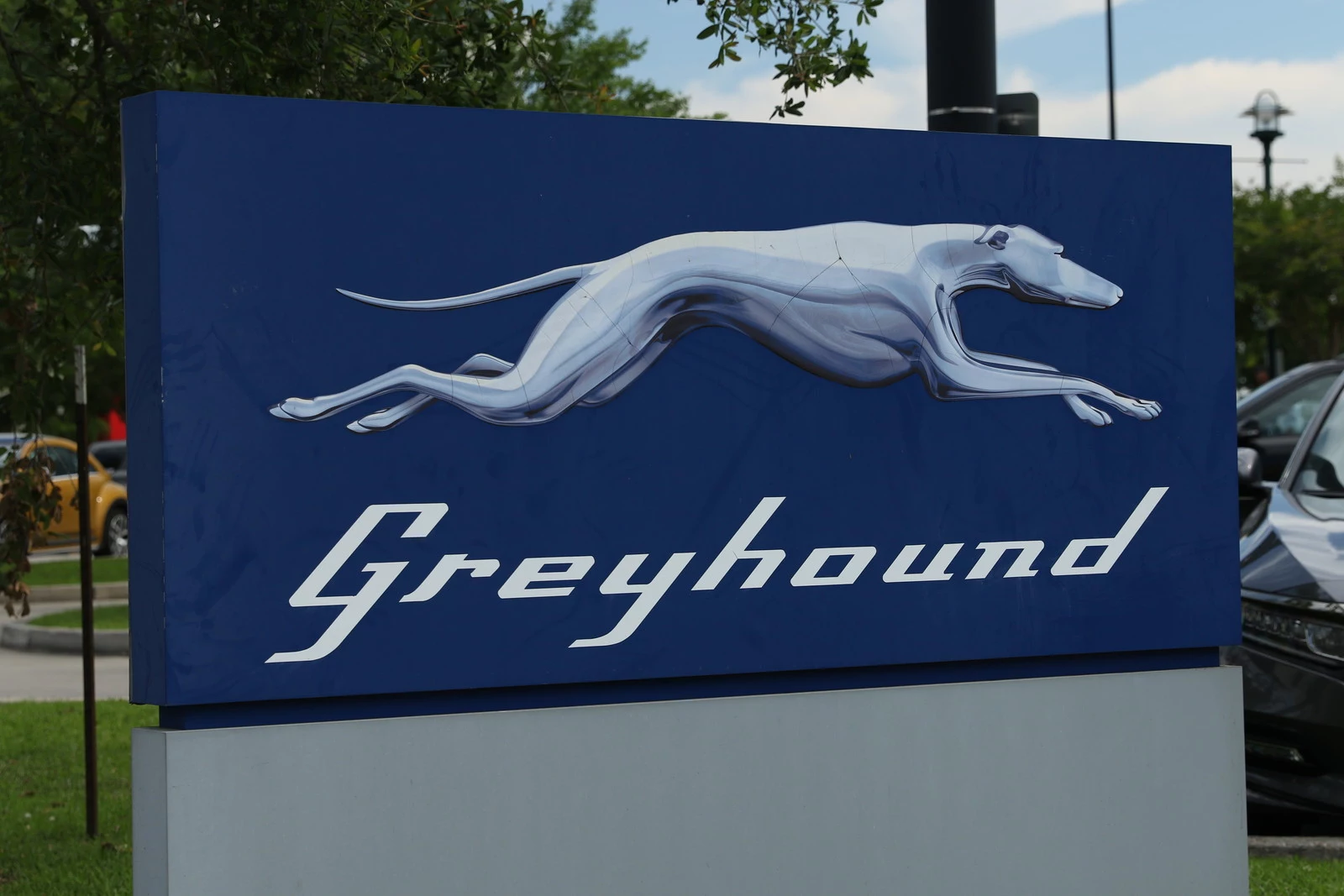 greyhound bus tickets