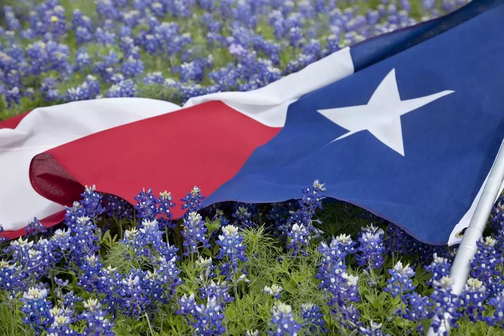 Survey Says Texas is 2nd Most Hated State