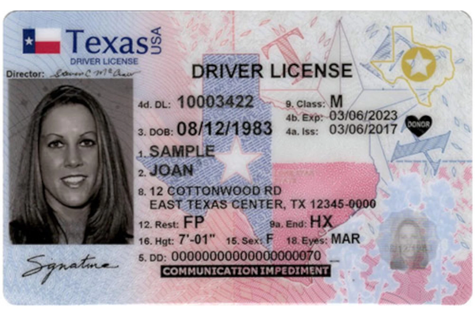 texas drivers license audit number does it change