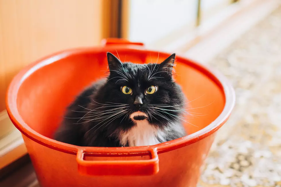 Photo by Marina Khrapova on Unsplash