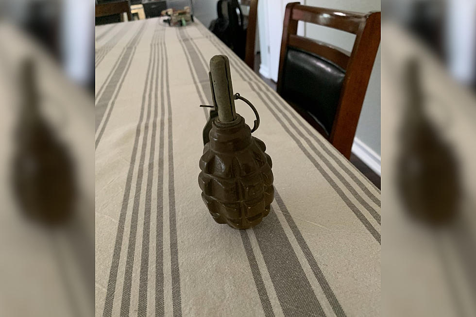 Ok, Who Left Their Hand Grenade at West Temple Community Park?
