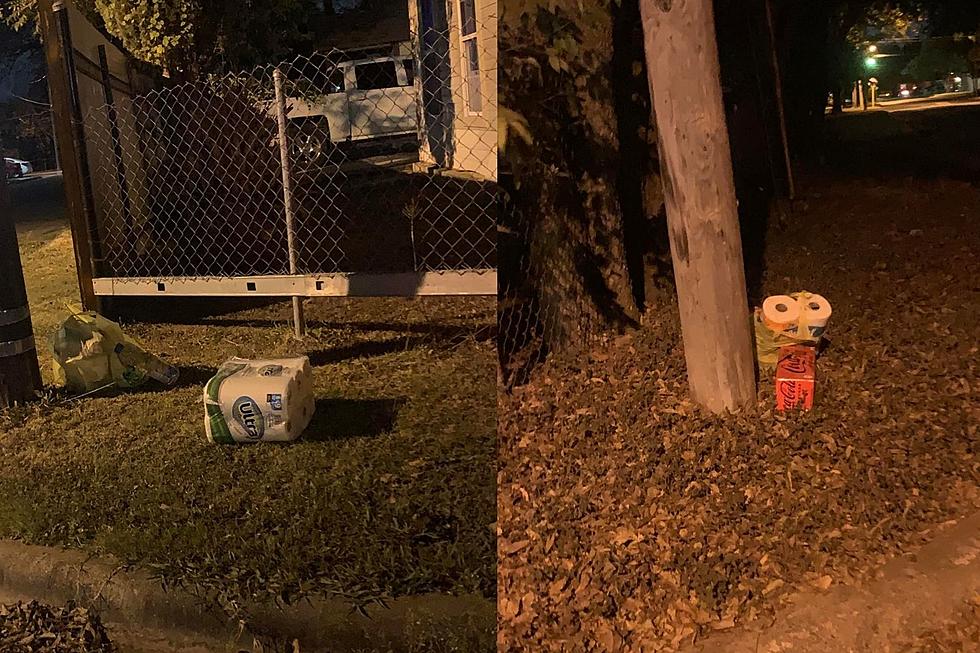 Trick or Treat? Have You Seen Toilet Paper Left on Killeen Street Corners?