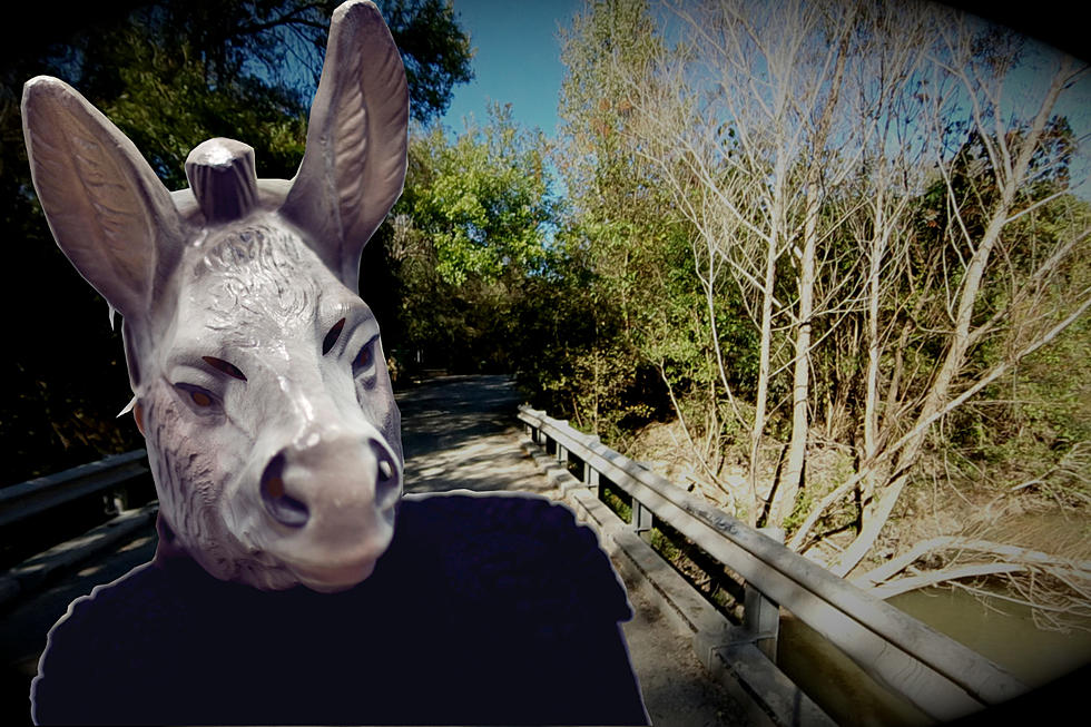 The ‘Donkey Lady’ Is Said to Haunt This Creepy Bridge Near San Antonio, Texas