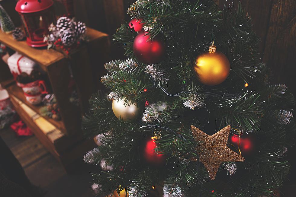 Oh No Ho Ho! Could Texans See A Christmas Tree Shortage This Year?